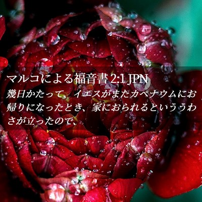 Picture 02 - マルコによる福音書 2:1 JPN - 幾日かたって、イエスがまたカペナ - Bible Verse Picture
