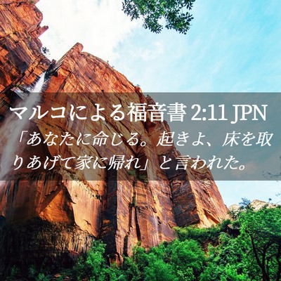 Picture 02 - マルコによる福音書 2:11 JPN - 「あなたに命じる。起きよ、床を取 - Bible Verse Picture