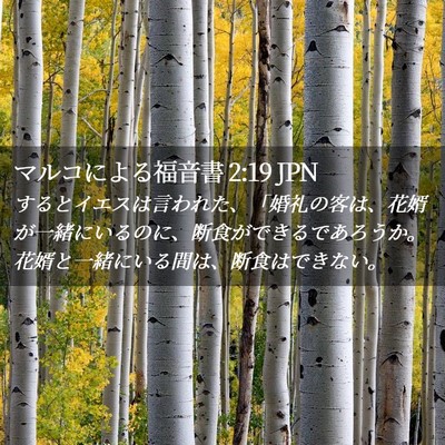 Picture 02 - マルコによる福音書 2:19 JPN - するとイエスは言われた、「婚礼の - Bible Verse Picture