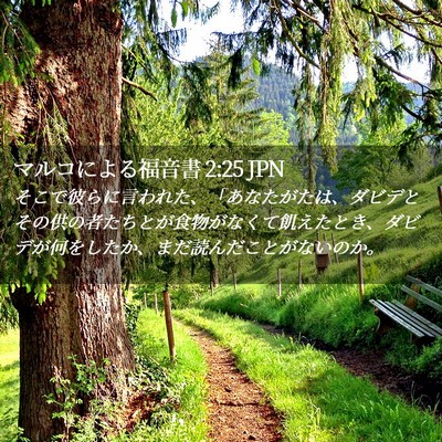 Picture 02 - マルコによる福音書 2:25 JPN - そこで彼らに言われた、「あなたが - Bible Verse Picture