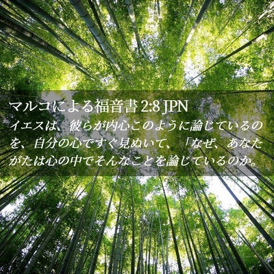 Picture 02 - マルコによる福音書 2:8 JPN - イエスは、彼らが内心このように論 - Bible Verse Picture