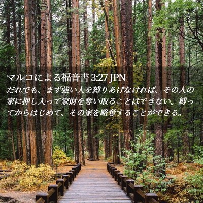 Picture 02 - マルコによる福音書 3:27 JPN - だれでも、まず強い人を縛りあげな - Bible Verse Picture
