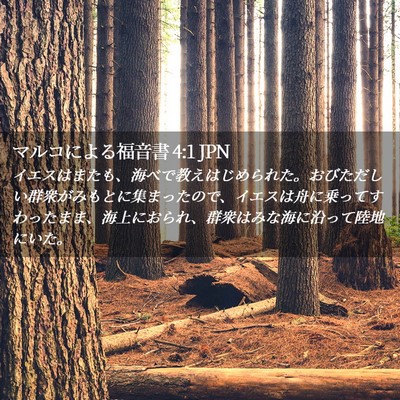 Picture 02 - マルコによる福音書 4:1 JPN - イエスはまたも、海べで教えはじめ - Bible Verse Picture