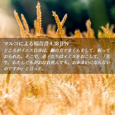 Picture 02 - マルコによる福音書 4:38 JPN - ところがイエス自身は、舳の方でま - Bible Verse Picture
