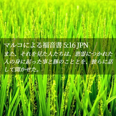 Picture 02 - マルコによる福音書 5:16 JPN - また、それを見た人たちは、悪霊に - Bible Verse Picture