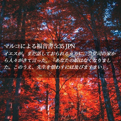 Picture 02 - マルコによる福音書 5:35 JPN - イエスが、まだ話しておられるうち - Bible Verse Picture