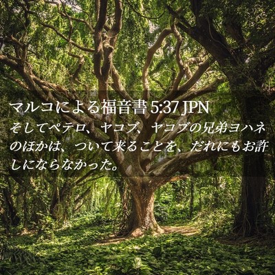 Picture 02 - マルコによる福音書 5:37 JPN - そしてペテロ、ヤコブ、ヤコブの兄 - Bible Verse Picture
