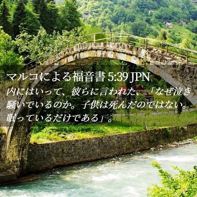 Picture 02 - マルコによる福音書 5:39 JPN - 内にはいって、彼らに言われた、「 - Bible Verse Picture