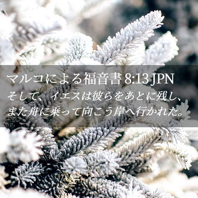 Picture 02 - マルコによる福音書 8:13 JPN - そして、イエスは彼らをあとに残し - Bible Verse Picture