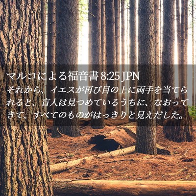 Picture 02 - マルコによる福音書 8:25 JPN - それから、イエスが再び目の上に両 - Bible Verse Picture
