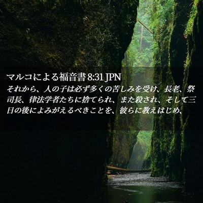 Picture 02 - マルコによる福音書 8:31 JPN - それから、人の子は必ず多くの苦し - Bible Verse Picture