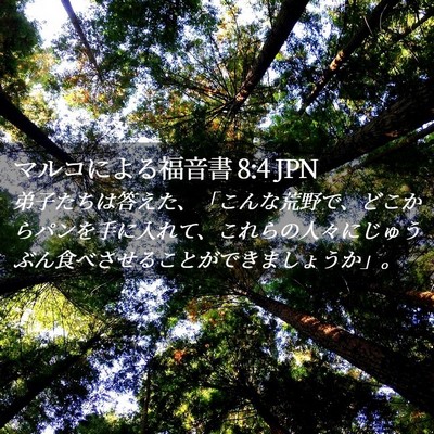 Picture 02 - マルコによる福音書 8:4 JPN - 弟子たちは答えた、「こんな荒野で - Bible Verse Picture