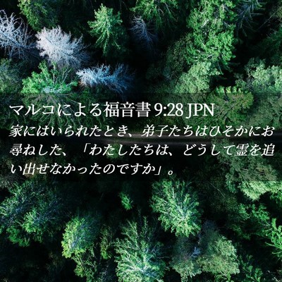 Picture 02 - マルコによる福音書 9:28 JPN - 家にはいられたとき、弟子たちはひ - Bible Verse Picture