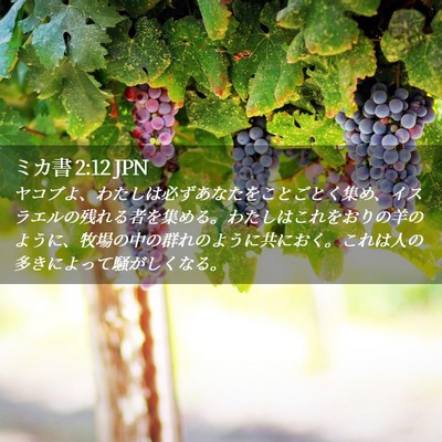 Picture 02 - ミカ書 2:12 JPN - ヤコブよ、わたしは必ずあなたをこ - Bible Verse Picture