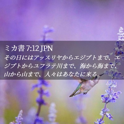Picture 02 - ミカ書 7:12 JPN - その日にはアッスリヤからエジプト - Bible Verse Picture