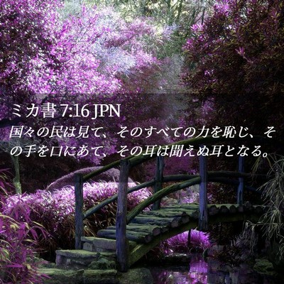 Picture 02 - ミカ書 7:16 JPN - 国々の民は見て、そのすべての力を - Bible Verse Picture