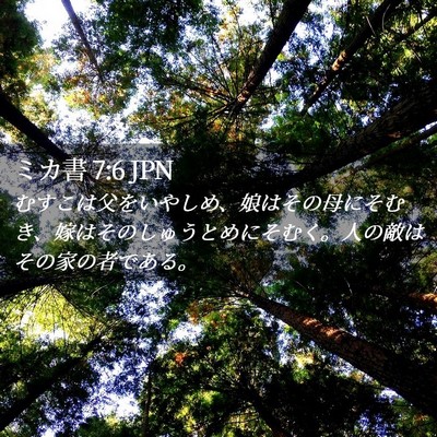 Picture 02 - ミカ書 7:6 JPN - むすこは父をいやしめ、娘はその母 - Bible Verse Picture