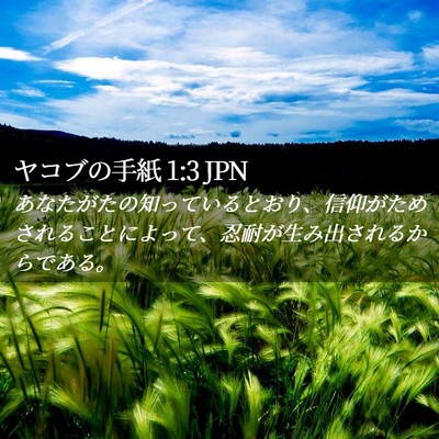 Picture 02 - ヤコブの手紙 1:3 JPN - あなたがたの知っているとおり、信 - Bible Verse Picture