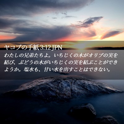 Picture 02 - ヤコブの手紙 3:12 JPN - わたしの兄弟たちよ。いちじくの木 - Bible Verse Picture