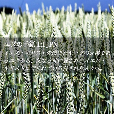 Picture 02 - ユダの手紙 1:1 JPN - イエス・キリストの僕またヤコブの - Bible Verse Picture