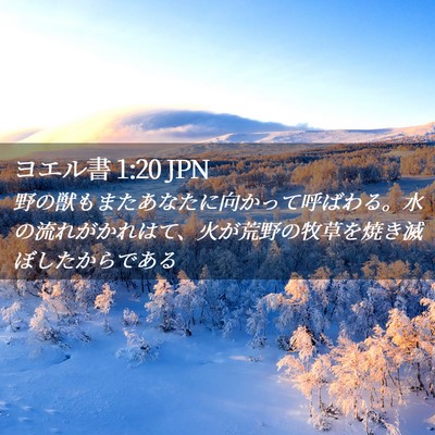 Picture 02 - ヨエル書 1:20 JPN - 野の獣もまたあなたに向かって呼ば - Bible Verse Picture