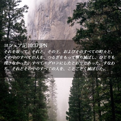 Picture 02 - ヨシュア記 10:37 JPN - それを取って、それと、その王、お - Bible Verse Picture