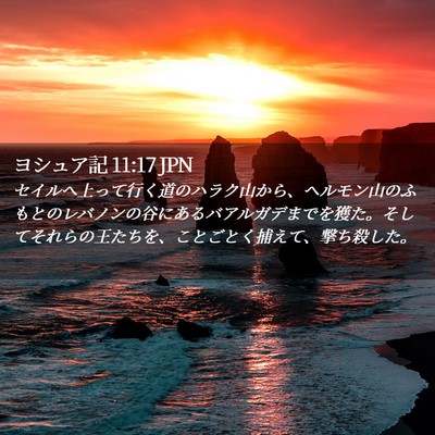 Picture 02 - ヨシュア記 11:17 JPN - セイルへ上って行く道のハラク山か - Bible Verse Picture