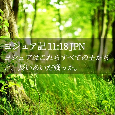 Picture 02 - ヨシュア記 11:18 JPN - ヨシュアはこれらすべての王たちと - Bible Verse Picture