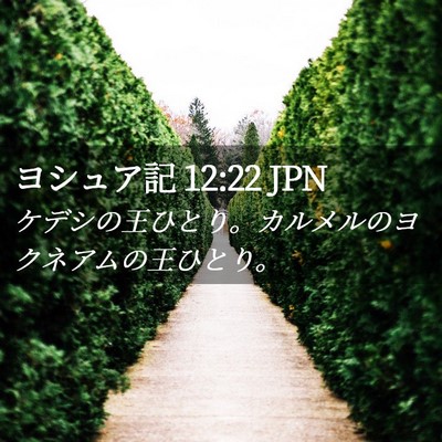 Picture 02 - ヨシュア記 12:22 JPN - ケデシの王ひとり。カルメルのヨク - Bible Verse Picture