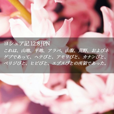 Picture 02 - ヨシュア記 12:8 JPN - これは、山地、平地、アラバ、山腹 - Bible Verse Picture