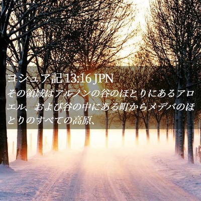 Picture 02 - ヨシュア記 13:16 JPN - その領域はアルノンの谷のほとりに - Bible Verse Picture
