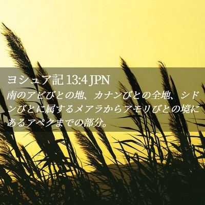 Picture 02 - ヨシュア記 13:4 JPN - 南のアビびとの地、カナンびとの全 - Bible Verse Picture