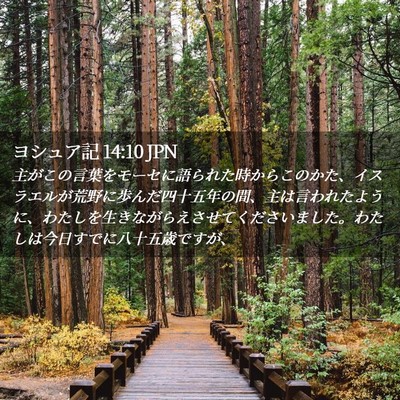 Picture 02 - ヨシュア記 14:10 JPN - 主がこの言葉をモーセに語られた時 - Bible Verse Picture