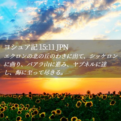 Picture 02 - ヨシュア記 15:11 JPN - エクロンの北の丘のわきに出て、シ - Bible Verse Picture