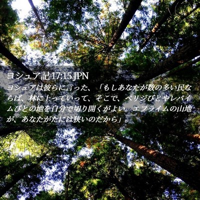 Picture 02 - ヨシュア記 17:15 JPN - ヨシュアは彼らに言った、「もしあ - Bible Verse Picture