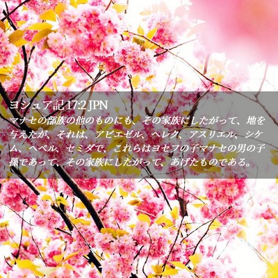 Picture 02 - ヨシュア記 17:2 JPN - マナセの部族の他のものにも、その - Bible Verse Picture