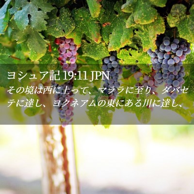 Picture 02 - ヨシュア記 19:11 JPN - その境は西に上って、マララに至り - Bible Verse Picture