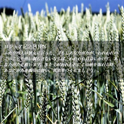 Picture 02 - ヨシュア記 2:14 JPN - ふたりの人は彼女に言った、「もし - Bible Verse Picture