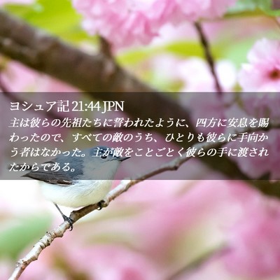 Picture 02 - ヨシュア記 21:44 JPN - 主は彼らの先祖たちに誓われたよう - Bible Verse Picture
