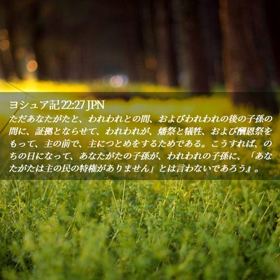 Picture 02 - ヨシュア記 22:27 JPN - ただあなたがたと、われわれとの間 - Bible Verse Picture