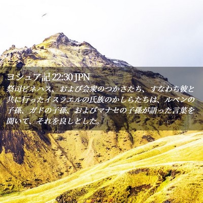 Picture 02 - ヨシュア記 22:30 JPN - 祭司ピネハス、および会衆のつかさ - Bible Verse Picture