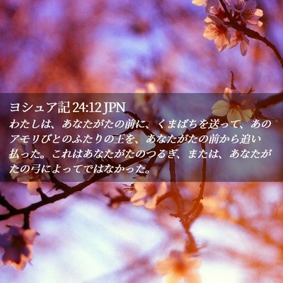Picture 02 - ヨシュア記 24:12 JPN - わたしは、あなたがたの前に、くま - Bible Verse Picture