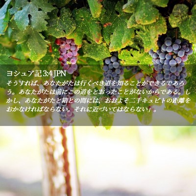 Picture 02 - ヨシュア記 3:4 JPN - そうすれば、あなたがたは行くべき - Bible Verse Picture