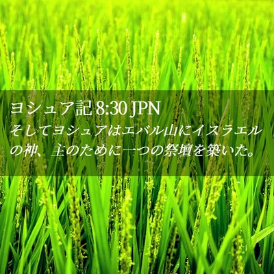 Picture 02 - ヨシュア記 8:30 JPN - そしてヨシュアはエバル山にイスラ - Bible Verse Picture