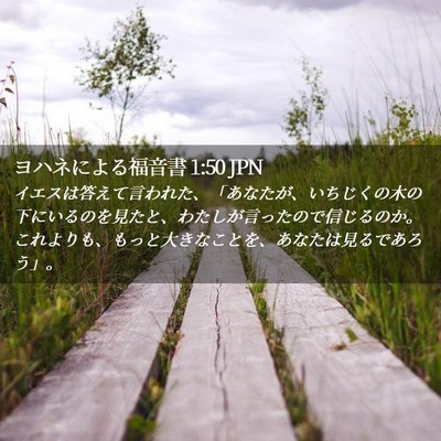 Picture 02 - ヨハネによる福音書 1:50 JPN - イエスは答えて言われた、「あなた - Bible Verse Picture
