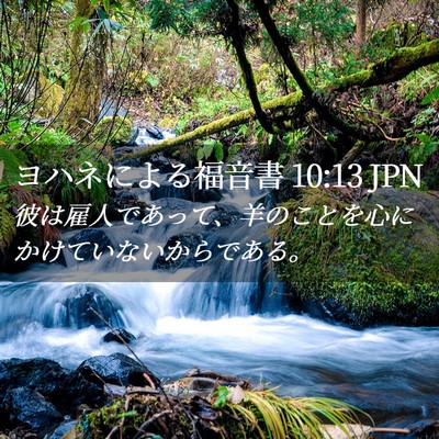 Picture 02 - ヨハネによる福音書 10:13 JPN - 彼は雇人であって、羊のことを心に - Bible Verse Picture