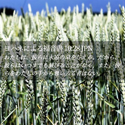Picture 02 - ヨハネによる福音書 10:28 JPN - わたしは、彼らに永遠の命を与える - Bible Verse Picture