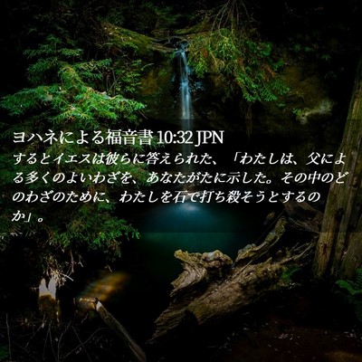 Picture 02 - ヨハネによる福音書 10:32 JPN - するとイエスは彼らに答えられた、 - Bible Verse Picture