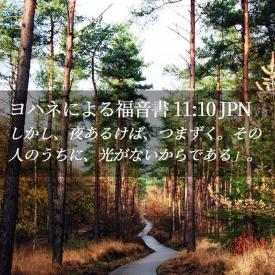 Picture 02 - ヨハネによる福音書 11:10 JPN - しかし、夜あるけば、つまずく。そ - Bible Verse Picture