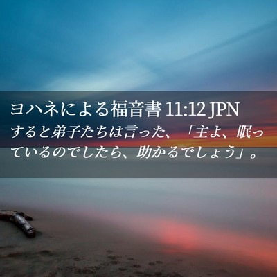 Picture 02 - ヨハネによる福音書 11:12 JPN - すると弟子たちは言った、「主よ、 - Bible Verse Picture